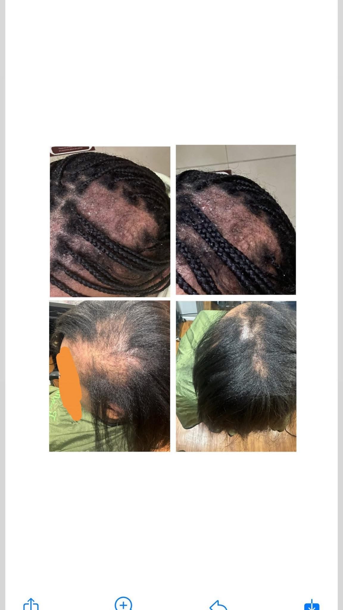 Ayurvedic Organic Herbal Hair Oil